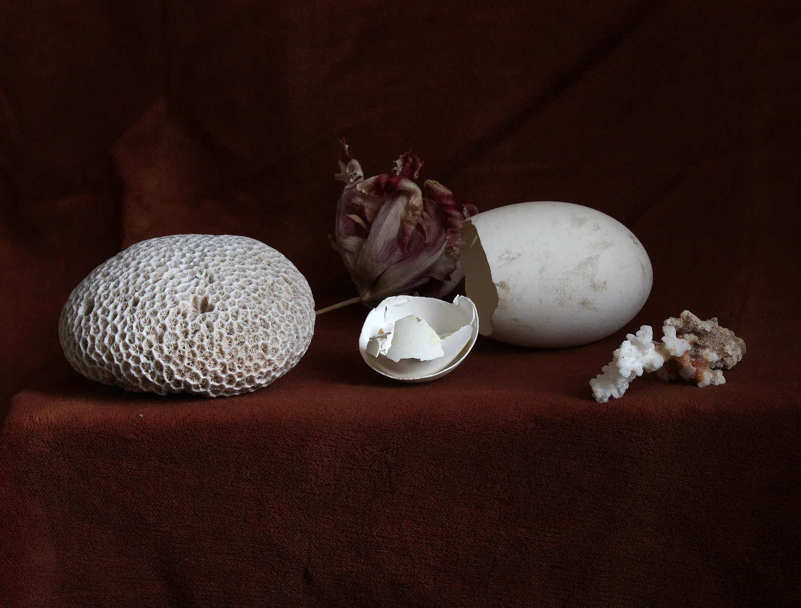 Still Life — Michael James O'Brien